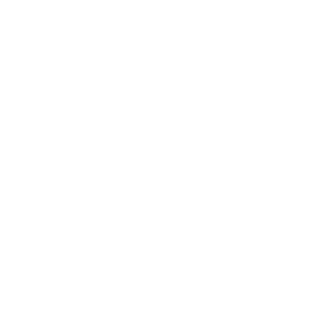 BRABAR